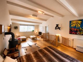 Charming house in the woods with private wellness - 1