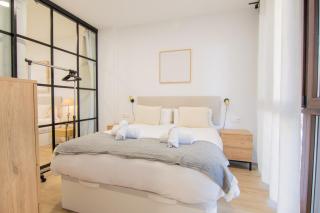 Luxury apartment Jardin de Turia - 9