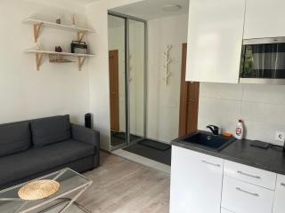 VILNIUS Central Apartmen - 9