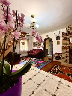 Casa hoinarului - Borca - 5
