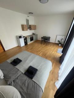 Apartment with Terrace in Prague - 8
