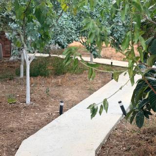 Olive Breeze Apartments - 5