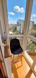 2 Rooms Arcul de Triumf Kiseleff Quiet Area - Bucarest - 7