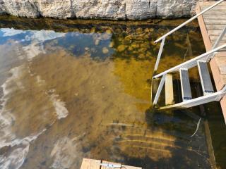 Kawarthas Home/Cottage on Buckhorn Lake - 9