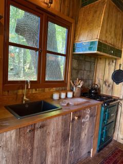 The Cabin in Piggy Wood - 7