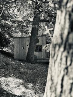 The Cabin in Piggy Wood - 5