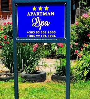 Apartman LIPA-Lipovac Bajakovo! Parking,Wi-Fi - 2
