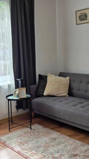 Bright and Cozy City Center Apartment - 7