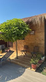 Windmill Shkodra Gesthouse Camping & Grill - Shkodra - 8