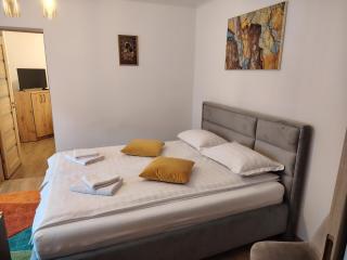Bucur Residence Rupea - apartament modern cu 2 camere pentru 4 persoane - 8