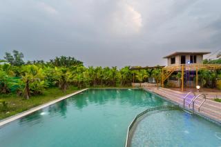 Dandeli Jungle Retreat Resort - 3