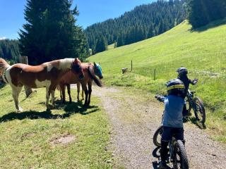 Bed and Breakfast Raschainas Lenzerheide - 4