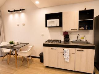 Premium Duplex Studio Apartment near the airport-2 - 4