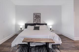 Modern St Louis Oasis 6BR Double Townhouse - 5