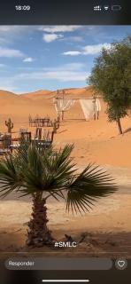 Sun & Sand Desert Camp - 9
