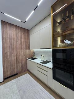 Beautiful Apartment near Arbat Street & Безупречные Апартаменты в Центре Города Алматы - 5