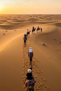 Desert Camel Trekking Camp - 5