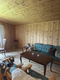 Mountain idyll in Tisleidalen - skiing, hiking and fishing - 0