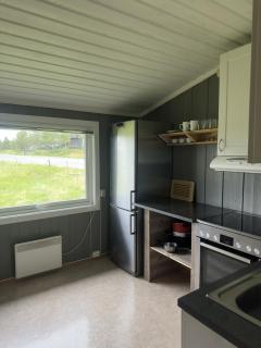 Mountain idyll in Tisleidalen - skiing, hiking and fishing - 4