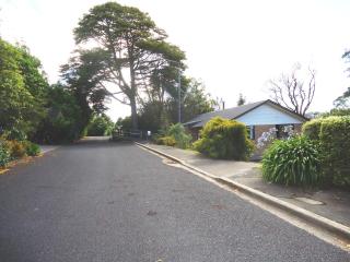 Wakari Holiday Home - Dunedin - 9