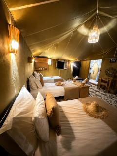 In merzouga Luxury camp - 5