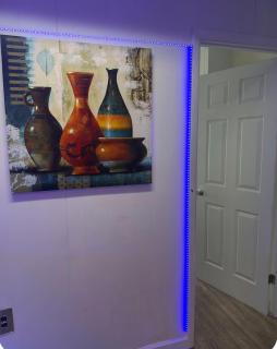 The orlando oasis - 2