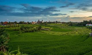 Casa Veranda Canggu - 5