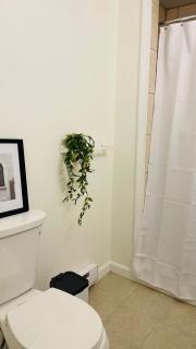 Private Room Shared Bath with Steps to MIT and Kendall - 6