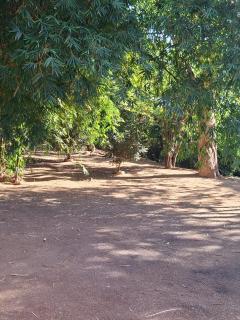 Rancho em Ruralminas - 1