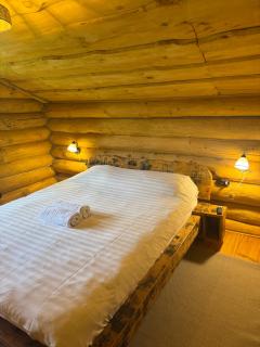 Cabana Raul-Mare - 5