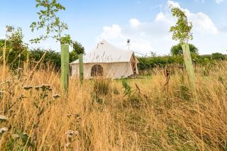 Hazel 5m xl bell tent with log burner near Whitby - 9