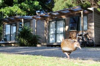 Russell-Orongo Bay Holiday Park - Russell - 0