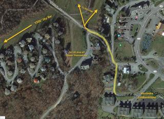 Bear Necessities - Beech Mountain - 9