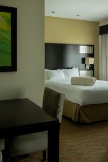 Residence Inn by Marriott San Jose Escazu - 6