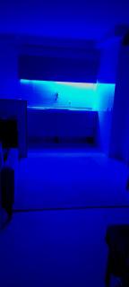 Lindo Apartamento com Piscina, Próximo ao Metrô - 4