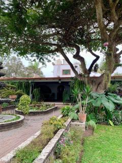 Country house with pool Sol de Pachacamac - 4