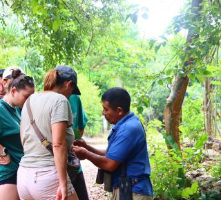 Selva Bonita Eco Lodge - 4