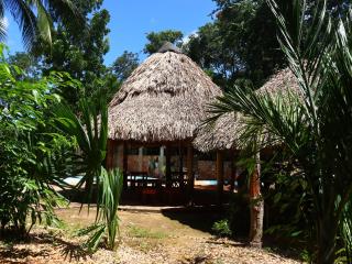 Selva Bonita Eco Lodge - 5