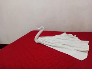 Hotel Villa 13 - 0