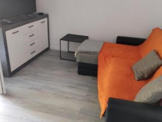 Classic One Bedroom Apartment with Terrace - 9