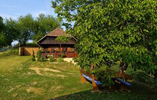 Pet Friendly Home In Karlovac With Wifi - 1
