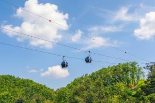 Chuncheon Rabbit Star Pension - 1
