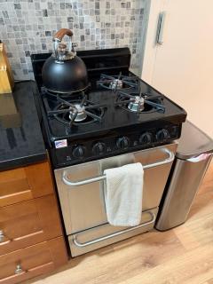 TIME SQUARE PORT AUTHORITY HUDSON YARD MIDTOWN WEST SUPER CONVENIENT 1ST FLOOR 1-BEDROOM APt - 4
