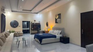 Luxury Big Majlis Room Ajman - 3
