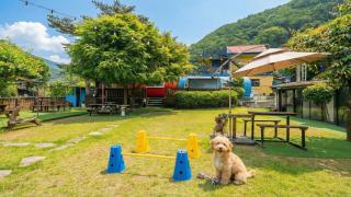 Gapyeong Venezia Dog Pension - 9