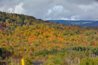 White Mountains New Hampshire Deer Bear Retreat - 6