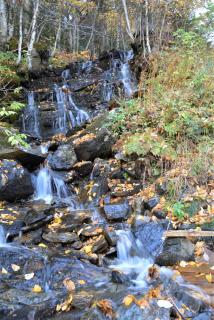 White Mountains New Hampshire Deer Bear Retreat - 7