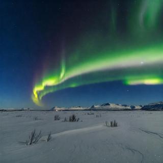 Santa's Aurora Wonderland - 9