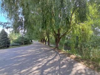Rancho Otel Almaty - 1