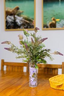 Casa moderna e elegante em Bonito-MS - 4
